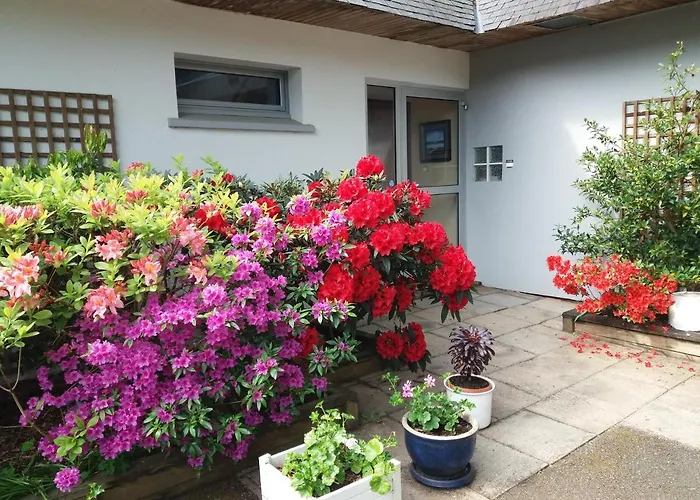 La Vie Au Roze