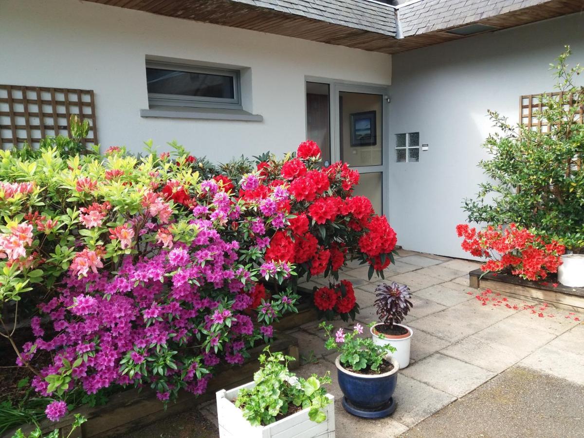 La Vie Au Roze Affittacamere 3*